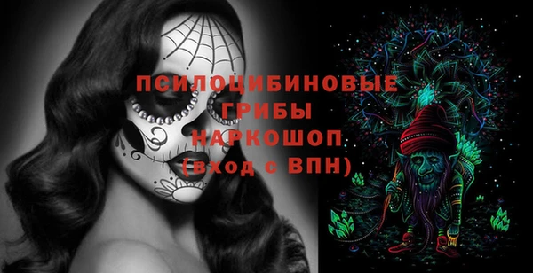 гашик Алзамай