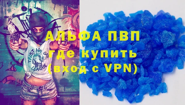 гашик Алзамай