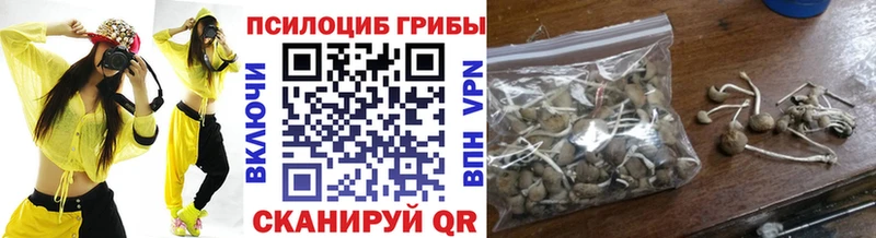 Псилоцибиновые грибы Cubensis  Лахденпохья 